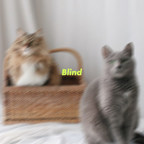 Blind | Boomplay Music