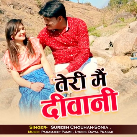 Teri Main Deewani ft. Sonia | Boomplay Music