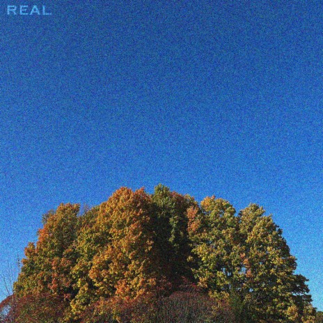 real | Boomplay Music