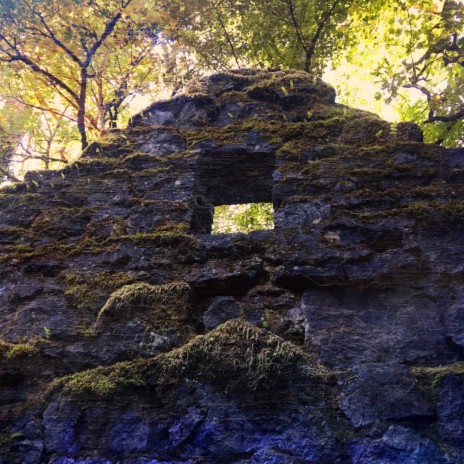 Forest Park Ruins