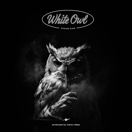 White Owl | Boomplay Music