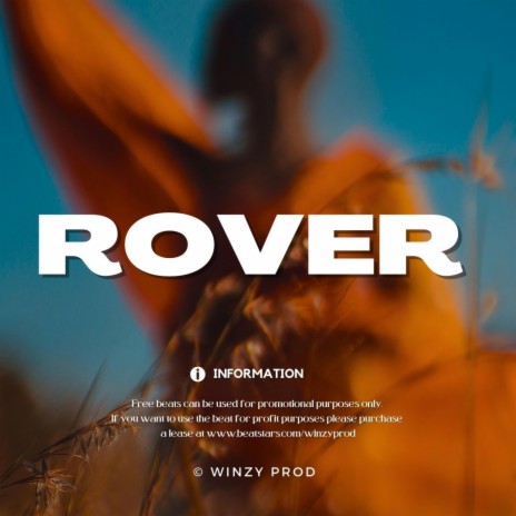 Burna (Rover Instrumental) | Boomplay Music