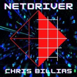 NetDriver