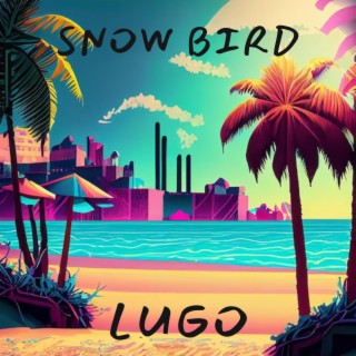 Snow bird