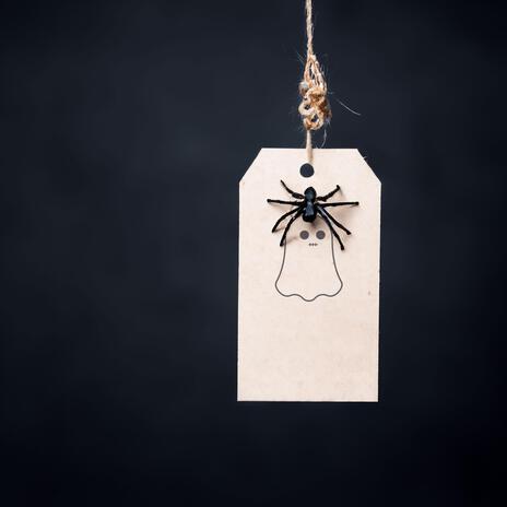 Spiders & Deals | Boomplay Music