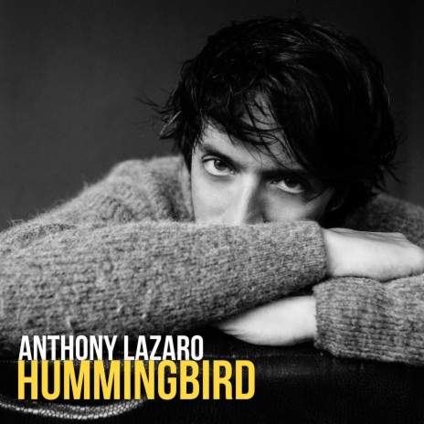 Hummingbird ft. Marle Thomson | Boomplay Music