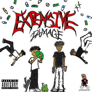 Expensive Damage