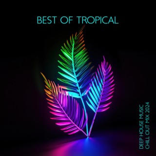 Best Of Tropical Deep House Music Chill Out Mix 2024