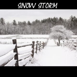 Snow Storm