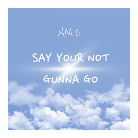 Say your not gunna go | Boomplay Music