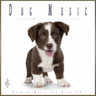 Dog Music: Calm Sleeping Music for Dogs, Relaxing Pet Music
