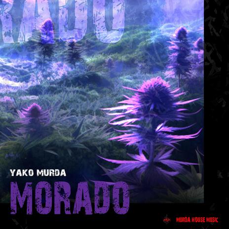 Morado | Boomplay Music