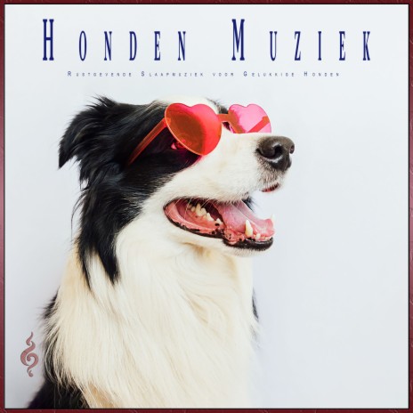 Muziek voor hondendromen ft. Slaapmuziek voor Honden & Honden Muziek Universum | Boomplay Music