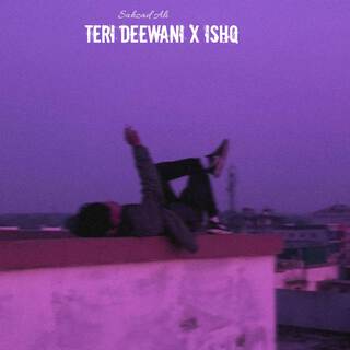 Teri Deewani X Ishq