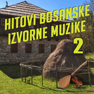 Hitovi Bosanske Izvorne Muzike 2