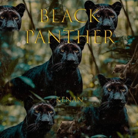 Black Panther | Boomplay Music