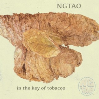 In The Key of Tobacoo