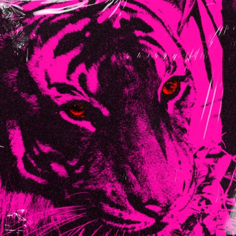 Tiger Cage | Boomplay Music