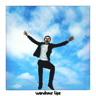 wondrous life lyrics | Boomplay Music