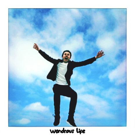 wondrous life | Boomplay Music