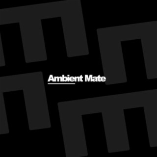 Ambient Mate