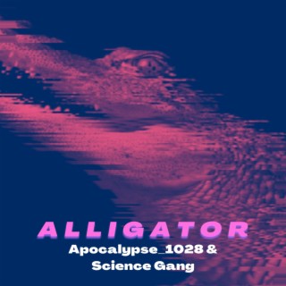 Alligator