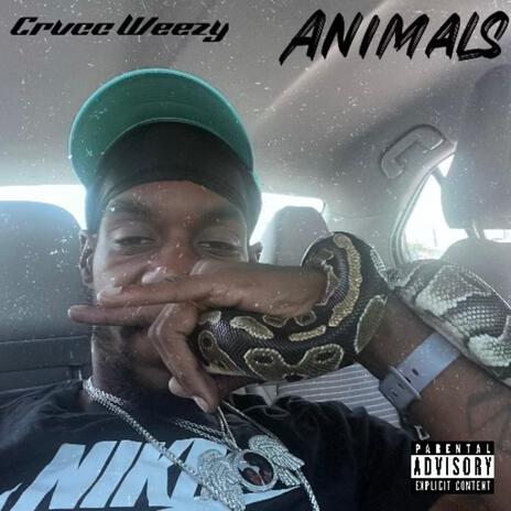 Animals | Boomplay Music