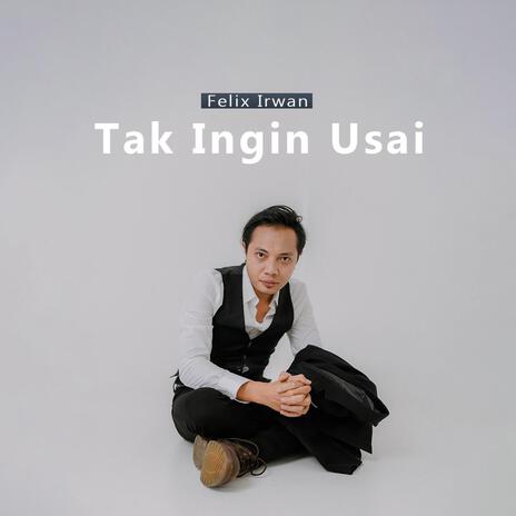 Tak Ingin Usai | Boomplay Music