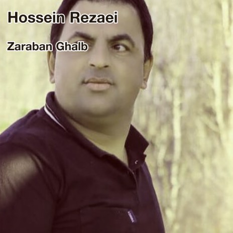 Zaraban Ghalb