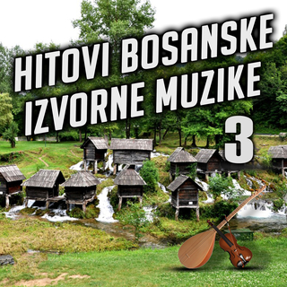 Hitovi Bosanske Izvorne Muzike 3