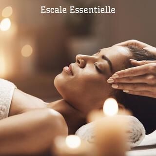 Escale Essentielle: Relaxation en Musique Spa, 1h de Relaxation, Massage et Méditation