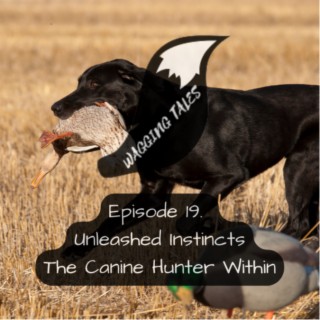 Ep 19: Unleashed Instincts: The Canine Hunter Within