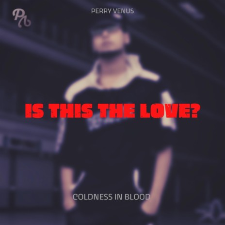 Is This The Love | Boomplay Music