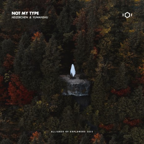 Not My Type ft. HeizerChan陈海择 & 虞万殊 | Boomplay Music