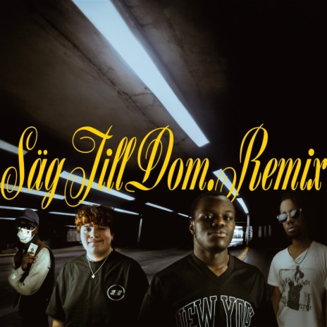 SÄG TILL DOM (Remix) ft. Wesley Teodoro, Bobby & Muro Tazeb | Boomplay Music