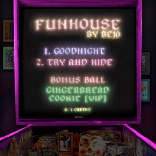 Funhouse