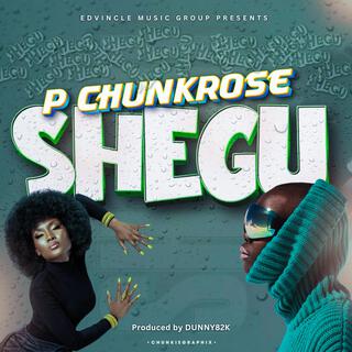 Shegu lyrics | Boomplay Music