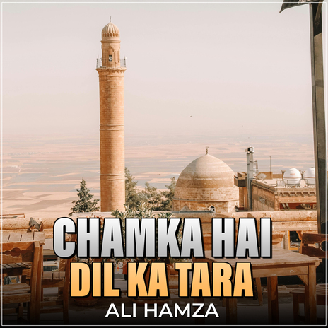 Chamka Hai Dil Ka Tara | Boomplay Music