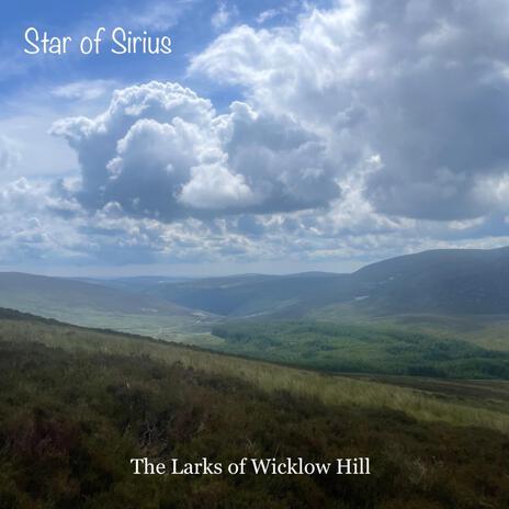 The Larks of Wicklow Hill | Boomplay Music