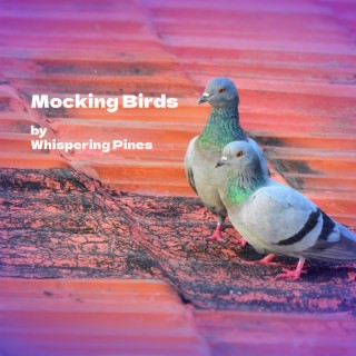 Mocking Birds