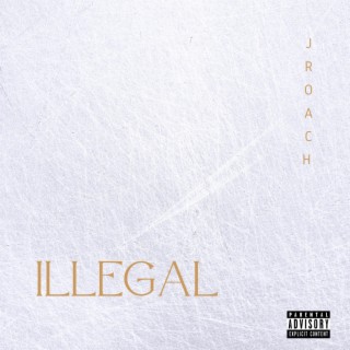 Illegal lyrics | Boomplay Music