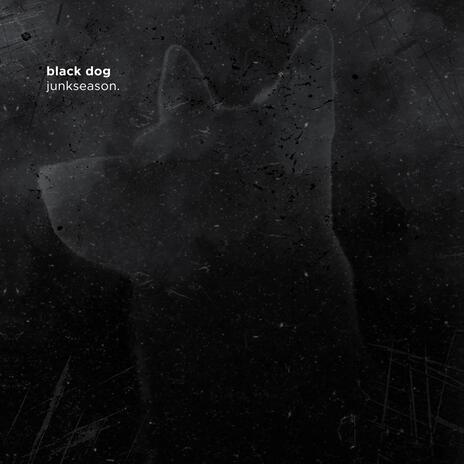 black dog