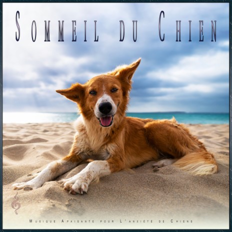 Musique pour le sommeil des chiens ft. Musique pour L'anxiété des Chiens & Musique Relaxante pour Chiens | Boomplay Music