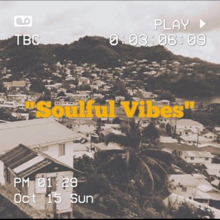 Soulful Vibes