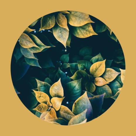 Old Leaves | Boomplay Music