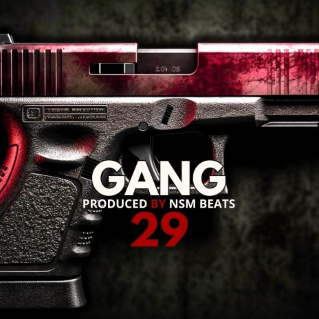 Gang 29