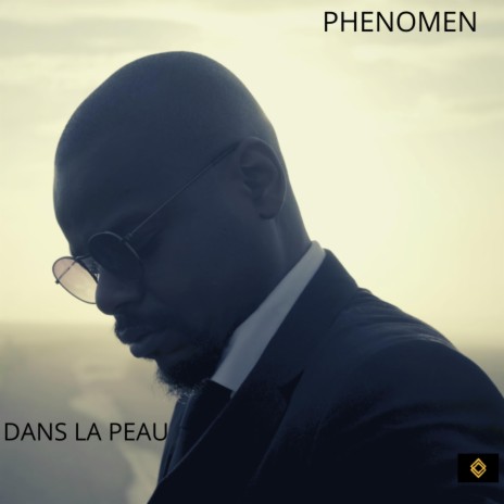 DANS LA PEAU | Boomplay Music