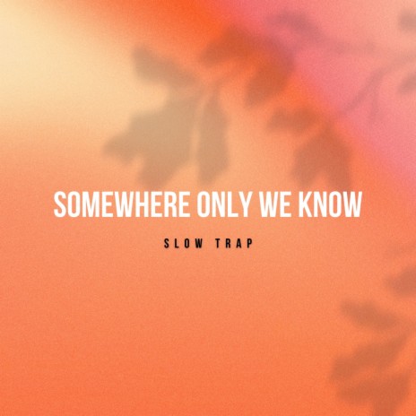 Somewhere Only We Know (Slow Trap) (Oh Simple Thing where Have You Gone) ft. Slow-ful