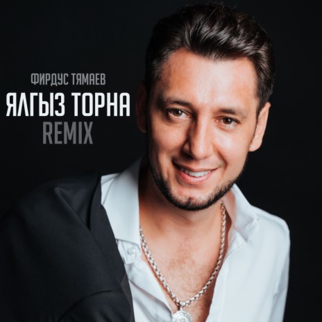 Ялгыз торна (remix) | Boomplay Music