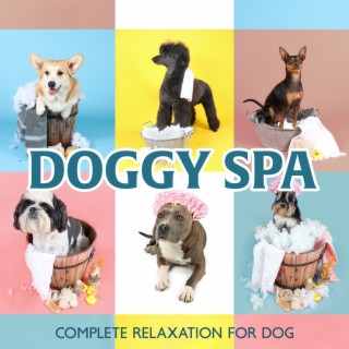 Doggy Spa: Complete Relaxation for Dog